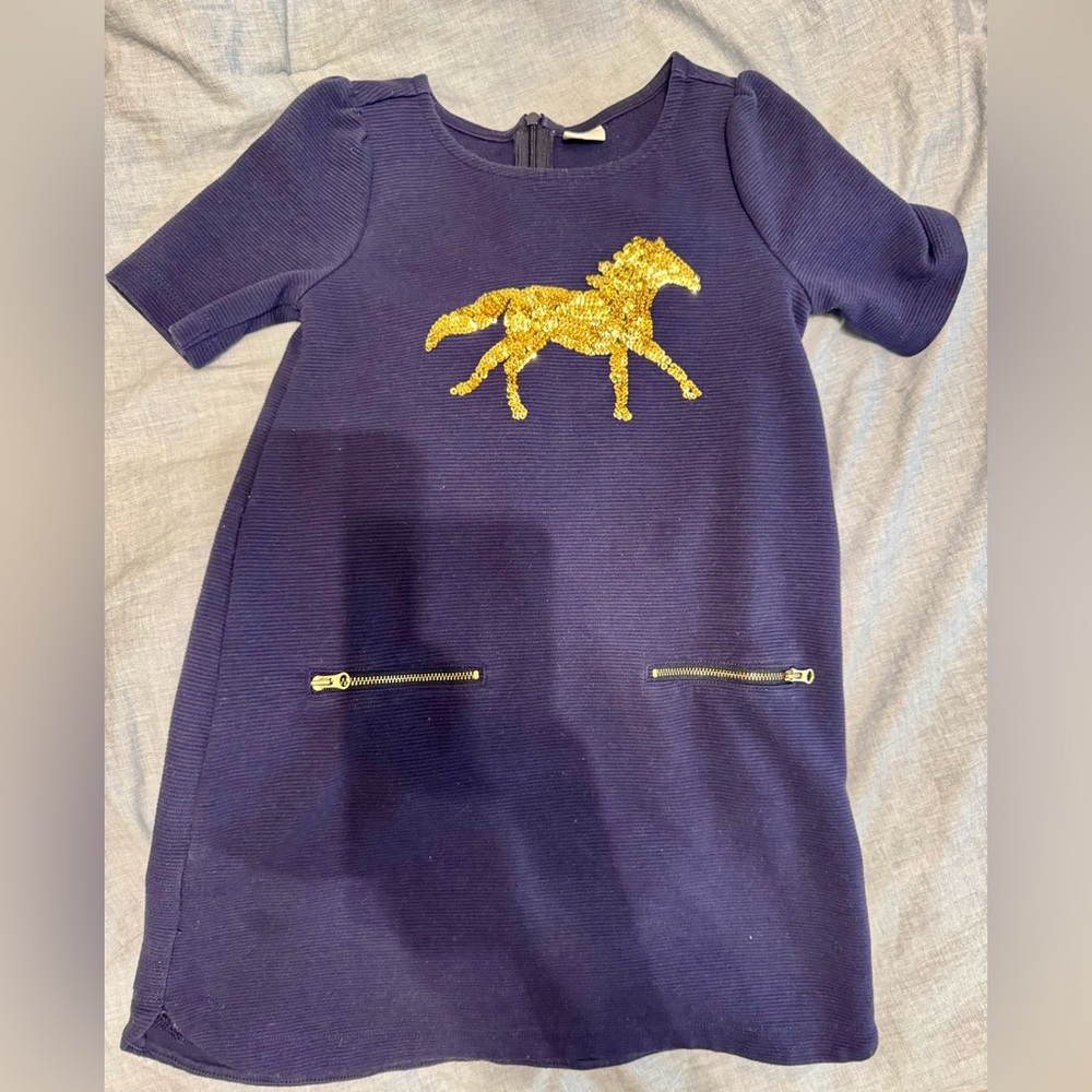 Girls Gymboree Equestrian Dress Size 6